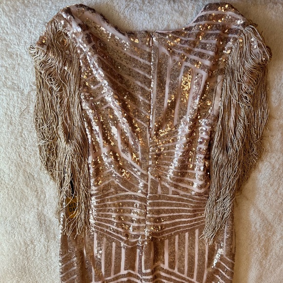 NWT Rose Gold and Fringe Party Dress - Picture 8 of 8